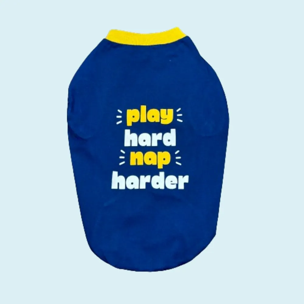 Super Saver Pack of T-shirt & Polo Knit Trendy