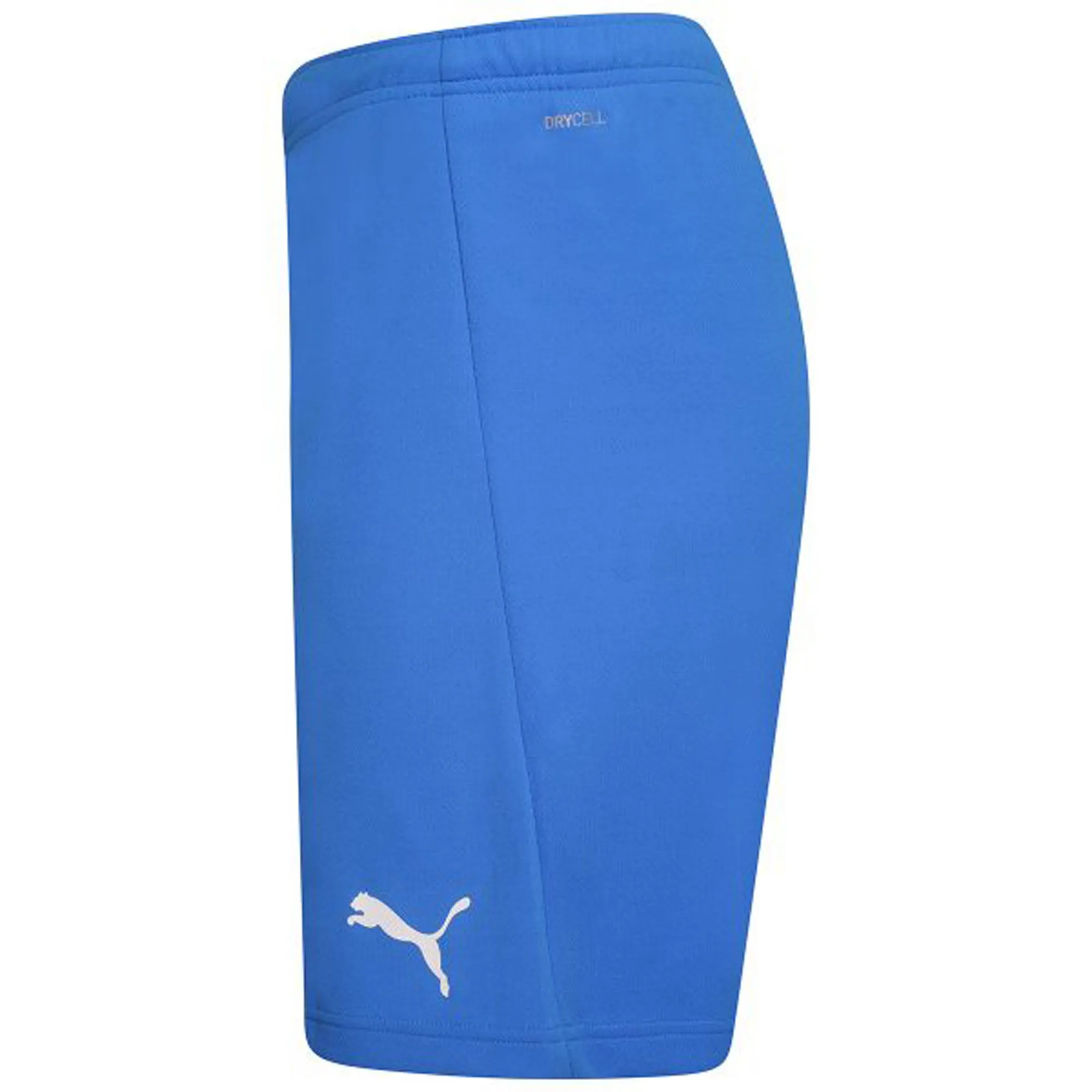 teamRISE Shorts