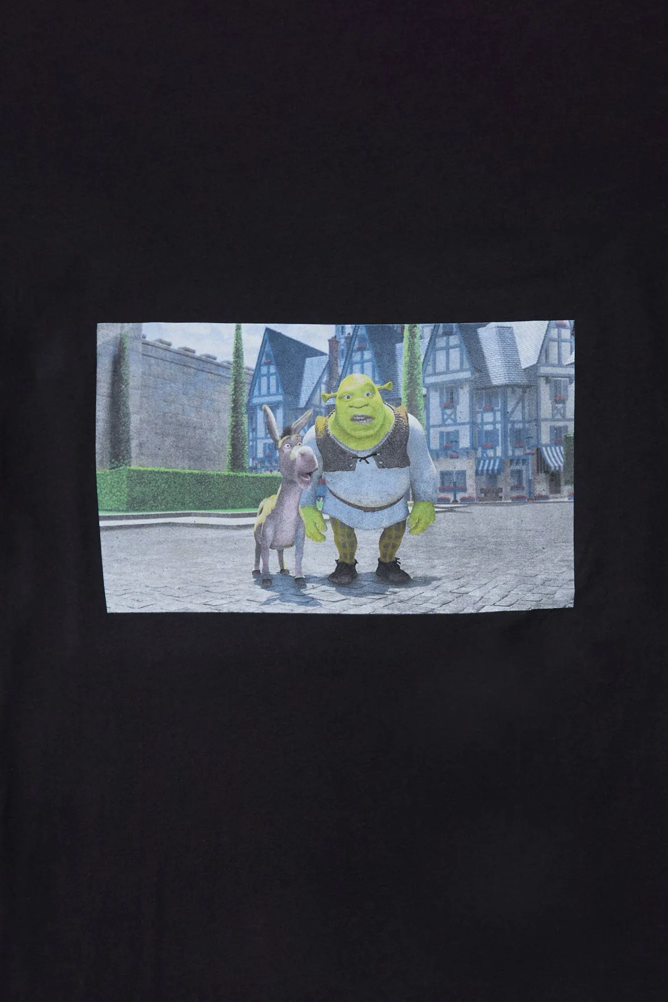 Womens Shrek Boyfriend Tee
